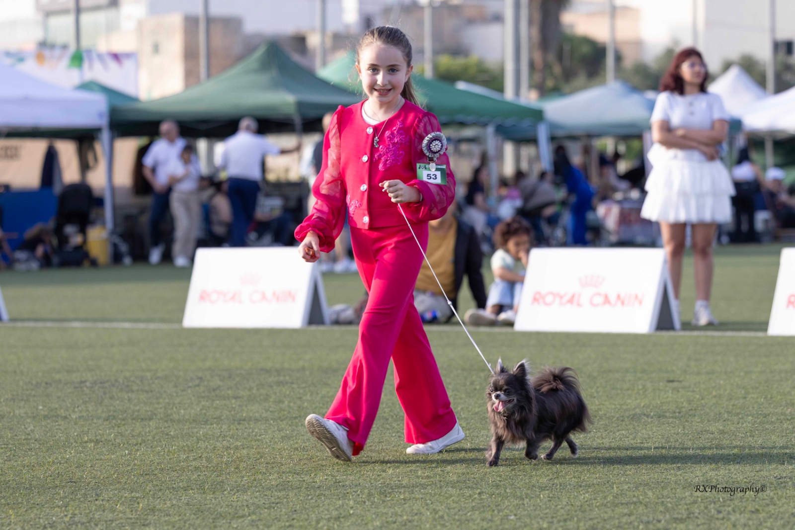 DOUBLE EVENING CHAMPIONSHIP SHOW (MAY 2025) by the Malta Canine Society