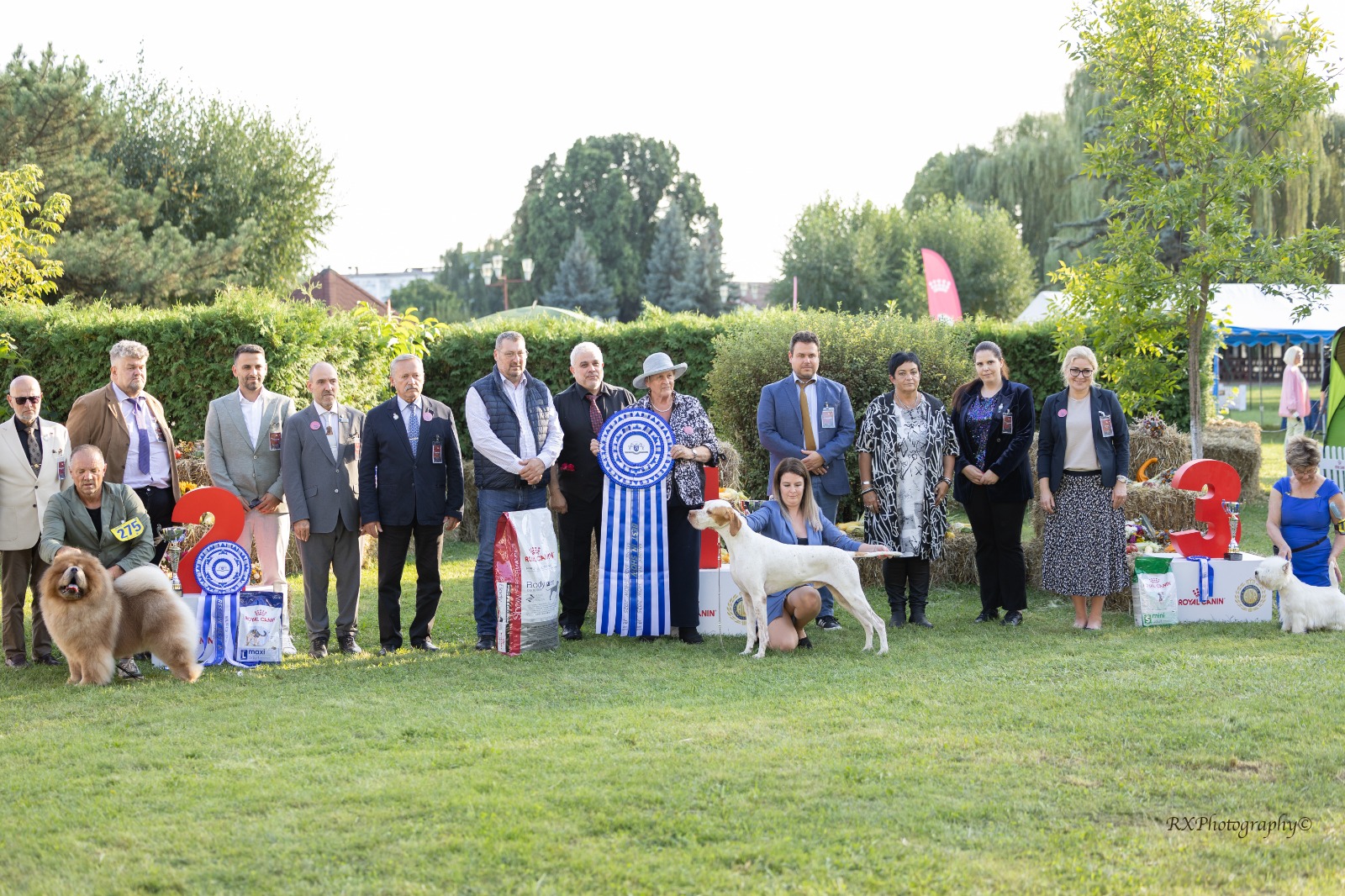 20th Edition of the Dracula Dog Show  (13-15th September 2025)