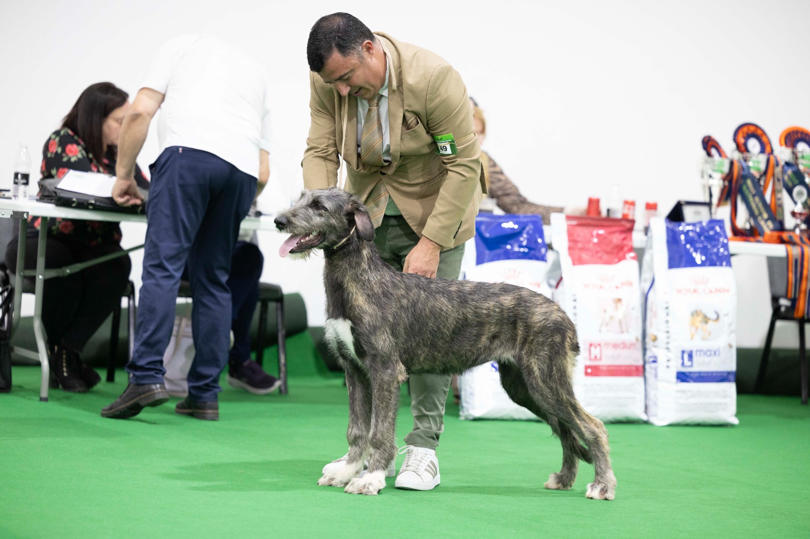 The Maltese National Canine Federation 2025 Annual Championship Dog Show
