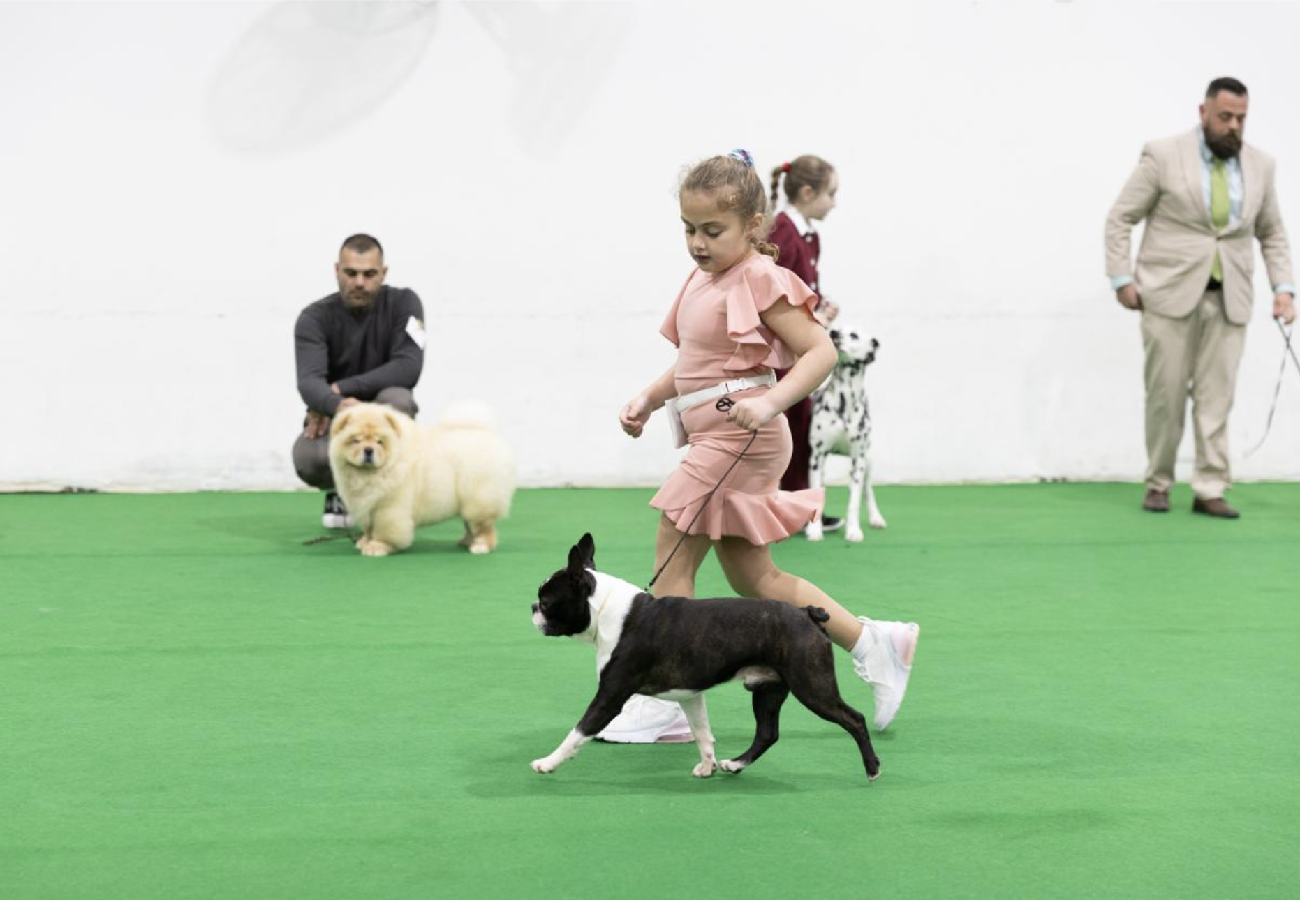 The Malta Canine Society Winter 2026 Championship Show (14th-15th February 2026)
